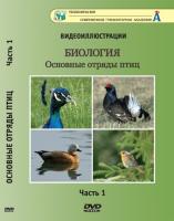 DVD "Основные отряды птиц" 1 часть (учебный фильм)